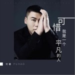 可惜我是一个平凡的人（单曲）详情