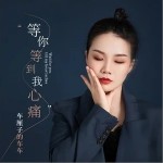 等你等到我心痛（单曲）详情