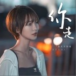 你走（单曲）详情