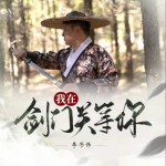 我在剑门关等你（单曲）详情