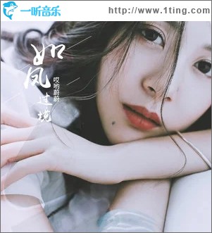 如风过境（单曲）