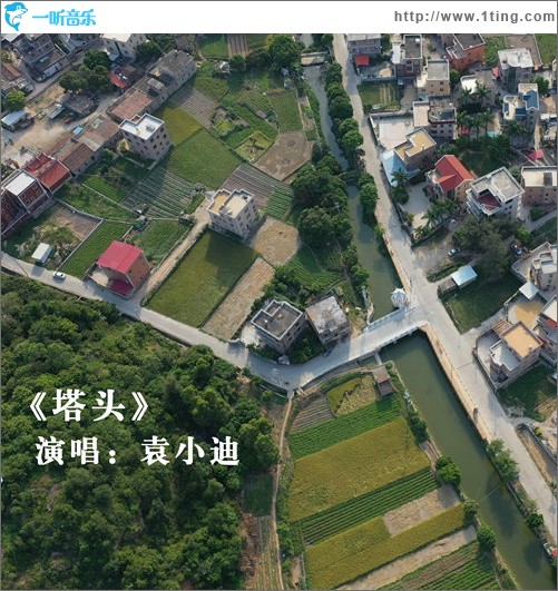 塔头（单曲）