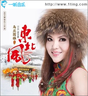 东北风（单曲）