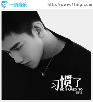 习惯了（单曲）