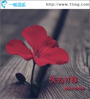 失去才懂（单曲）