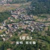 塔头（单曲）