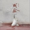 成全（单曲）