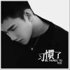 习惯了（单曲）