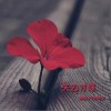 渔圈 失去才懂-渔圈/欧阳朵 试听