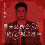 原来悲伤会把心撕成两半（单曲）