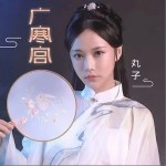 广寒宫（单曲）详情