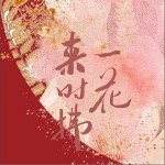 来时拂一花（单曲）详情