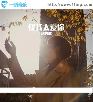 怪我太爱你（单曲）