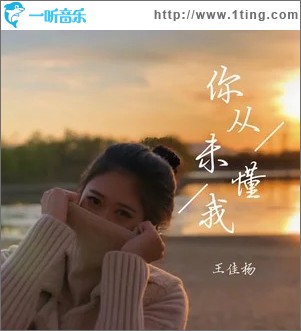你从未懂我（单曲）
