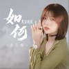 如何（单曲）