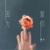 因为爱你（单曲）