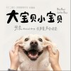 大宝贝小宝贝（单曲）