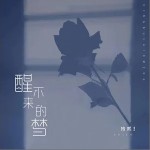 醒不来的梦（单曲）详情