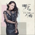 野花（单曲）