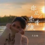 你从未懂我（单曲）详情