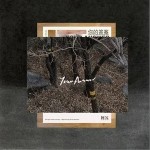 你的答案（单曲）详情