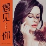 遇见你（单曲）详情
