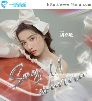 Say u wanna（单曲）