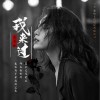 我来过（单曲）