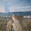 失眠（单曲）