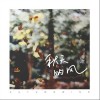 秋天的风（单曲）