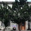 徐秉龙 孤身 试听