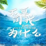 不要问我为什么（单曲）