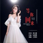 等你回来（单曲）详情