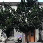 孤身（单曲）详情