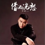 借酒浇愁（单曲）详情