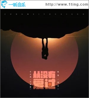 从没有爱过（单曲）