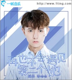 再也不会遇见第二个她（单曲）