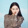你的眼里（单曲）