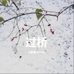 过桥（单曲）详情
