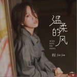温柔的风（单曲）详情