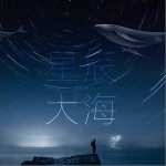 星辰大海（单曲）详情