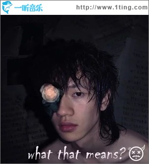 what that means ?（什么意思？）（单曲）
