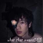what that means ?（什么意思？）（单曲）详情
