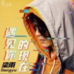 遇见你的现在（单曲）详情