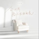 全世界挡不住你的光（单曲）详情