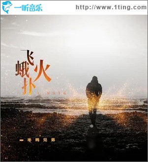 飞蛾扑火（单曲）