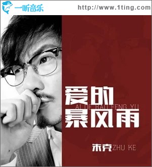 爱的暴风雨（单曲）