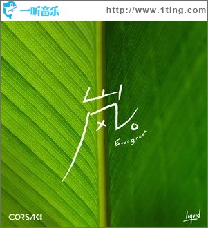 岚 Evergreen（单曲）