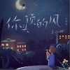 王小帅 你头顶的风 试听
