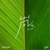 CORSAK胡梦周 岚 Evergreen 试听